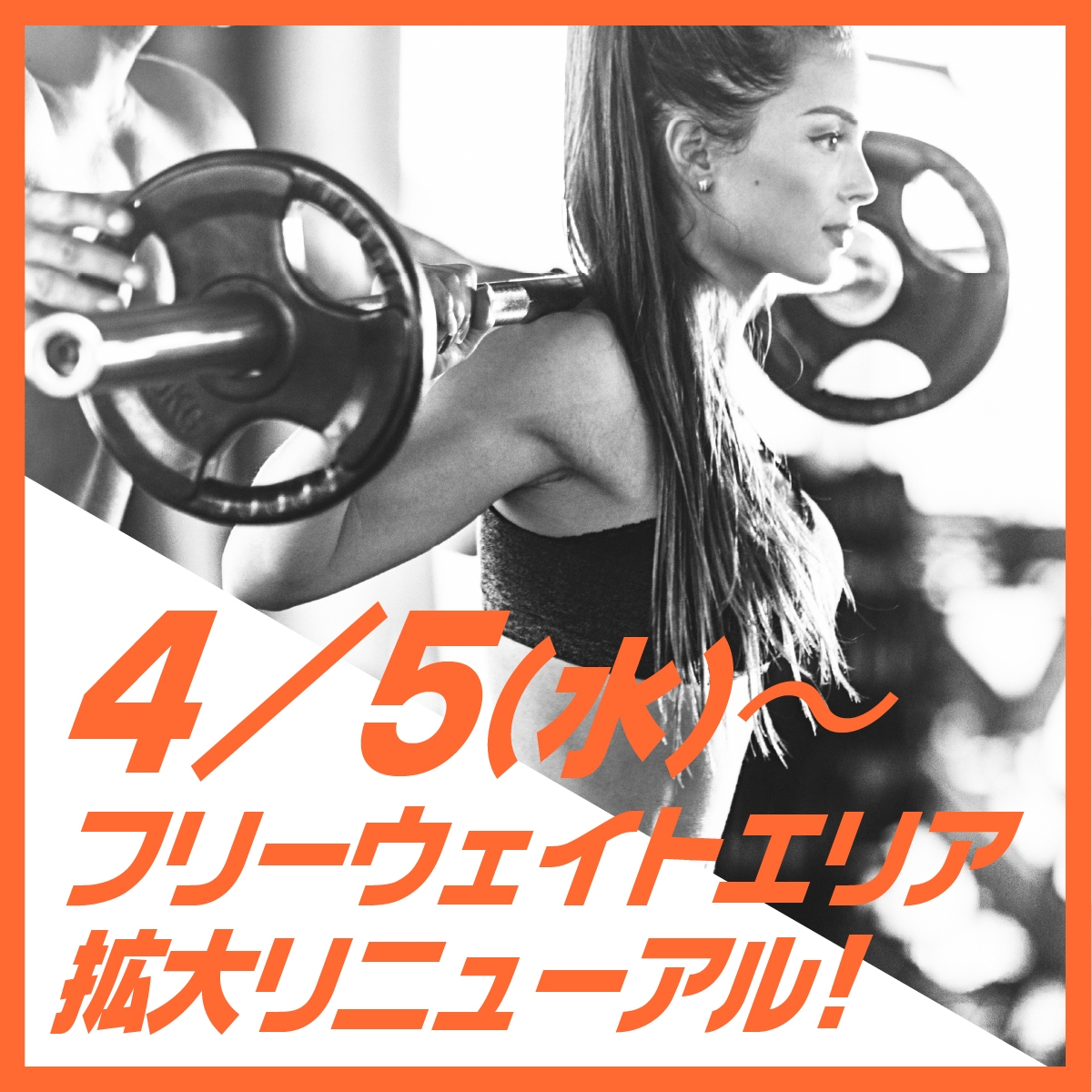 4/5(水)〜フィリーウェイトエリア拡大リニューアル